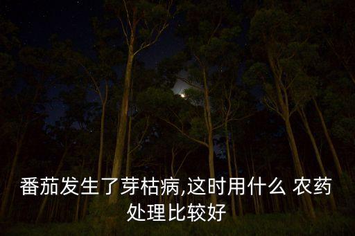 番茄發(fā)生了芽枯病,這時用什么 農(nóng)藥處理比較好