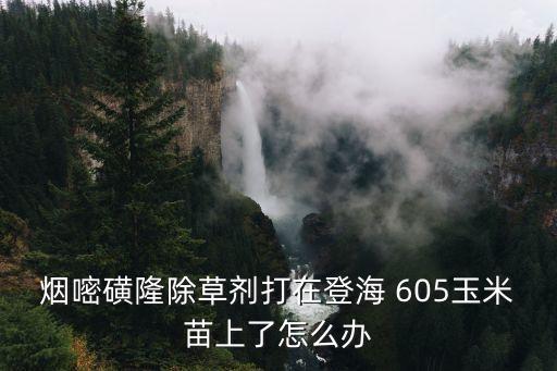 農藥605是什么意思,農藥有效成分含量是什么意思