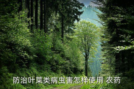 蔬菜葉子噴什么農(nóng)藥最好,洗蔬菜用什么洗去農(nóng)藥
