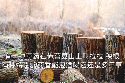 什么農藥殺澀剌秧根,菜蟲用什么農藥殺比較好?