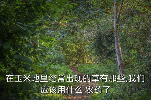 在玉米地里經常出現的草有那些,我們應該用什么 農藥了