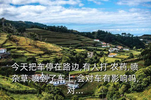 打農藥車叫什么,二手打農藥車