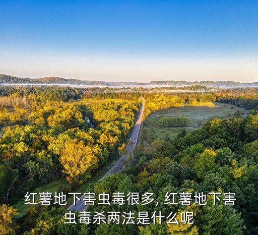  紅薯地下害蟲毒很多, 紅薯地下害蟲毒殺兩法是什么呢