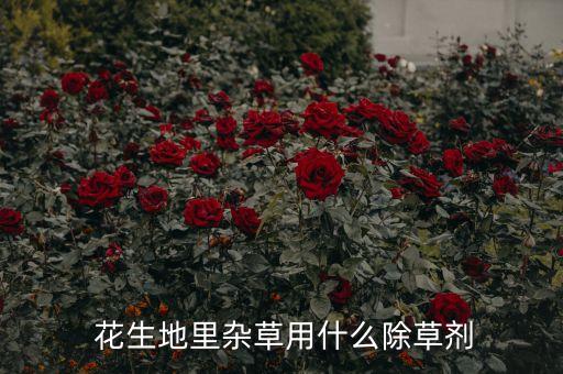  花生地里雜草用什么除草劑