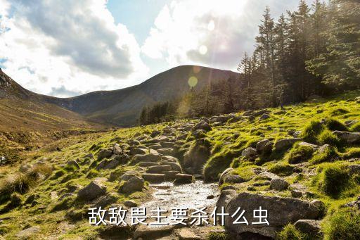敵敵畏主要?dú)⑹裁聪x
