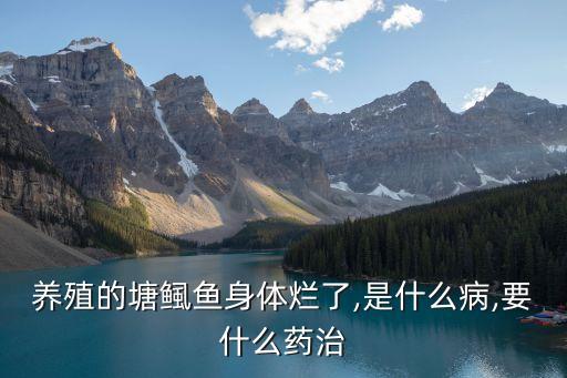 用什么農(nóng)藥殺魚蟲,什么農(nóng)藥殺老鼠效果最好