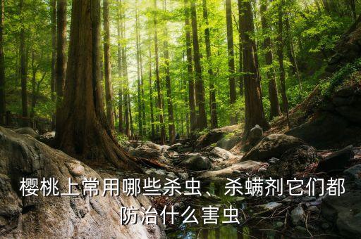 什么樣的櫻桃有農(nóng)藥,櫻桃花苞什么樣