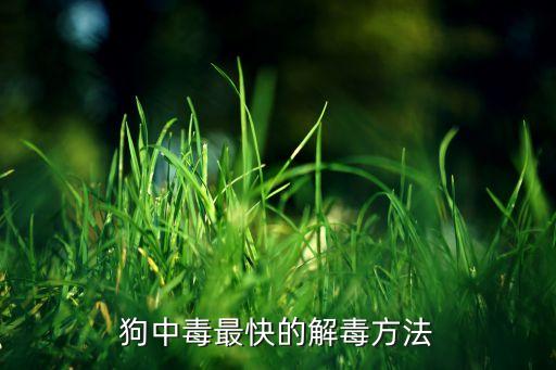 什么農(nóng)藥能把狗咬死,狗吃了農(nóng)藥有什么癥狀