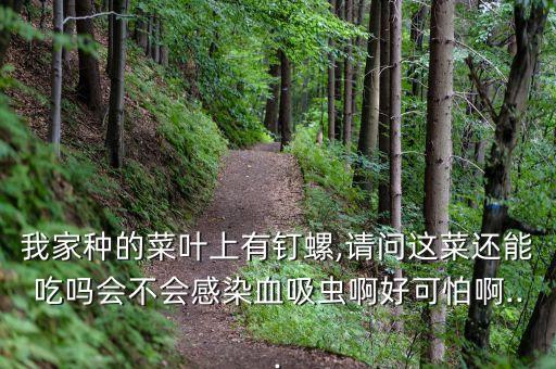 我家種的菜葉上有釘螺,請問這菜還能吃嗎會不會感染血吸蟲啊好可怕啊...