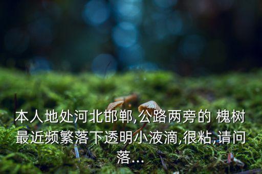 槐樹對什么農藥敏感,什么農藥能殺死槐樹