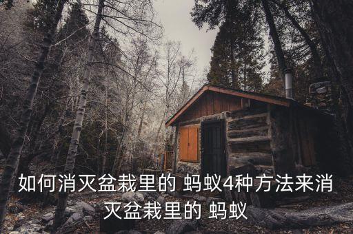 如何消滅盆栽里的 螞蟻4種方法來(lái)消滅盆栽里的 螞蟻