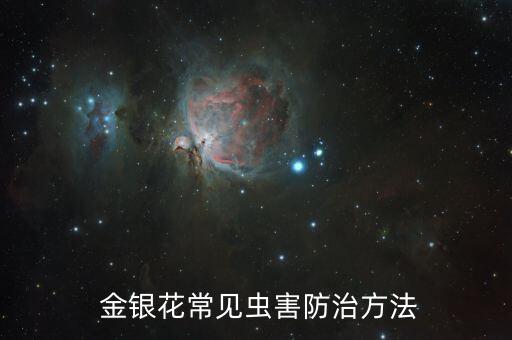 金銀花禁用什么農藥,禁用的農藥按照什么處理
