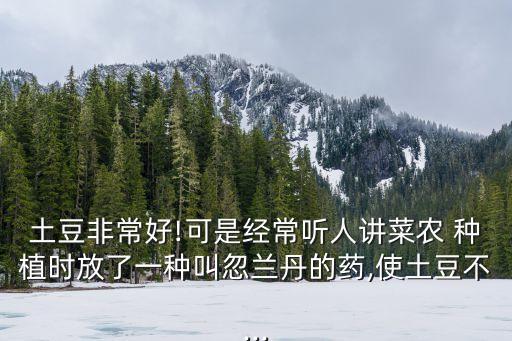 土豆非常好!可是經常聽人講菜農 種植時放了一種叫忽蘭丹的藥,使土豆不...