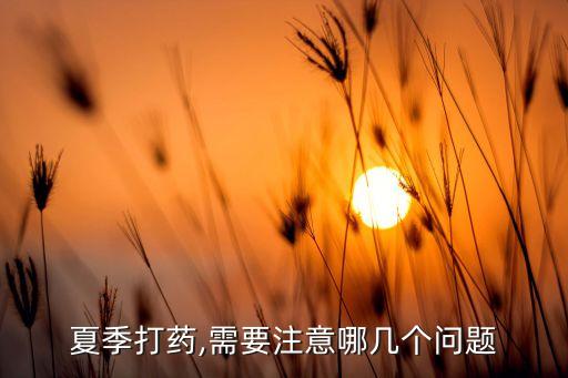 夏季打藥,需要注意哪幾個問題
