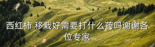 移栽用什么農藥灌根最好,蘋果樹灌根需要什么農藥