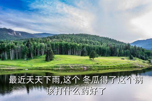 冬瓜黑皮打什么農藥,黑皮冬瓜有什么作用