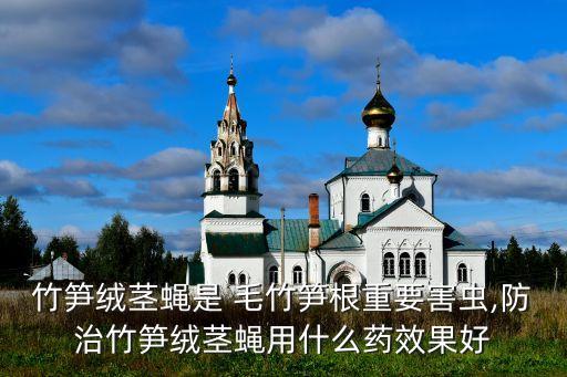 毛竹打針用什么農(nóng)藥,什么農(nóng)藥能把毛竹致死