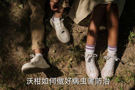  沃柑如何做好病蟲害防治