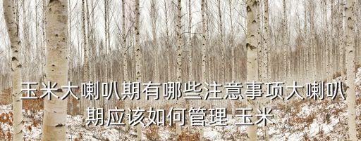 玉米喇叭口噴什么農(nóng)藥殺蟲,什么是玉米的大喇叭口期