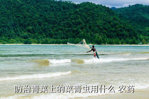 防治青菜上的菜青蟲(chóng)用什么 農(nóng)藥