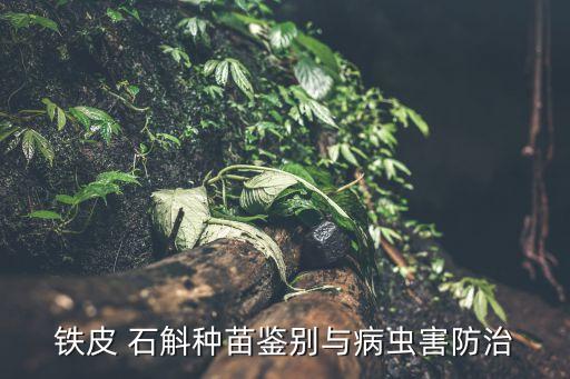 石斛用什么農藥殺菌,什么農藥殺菌效果最好