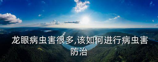  龍眼病蟲害很多,該如何進(jìn)行病蟲害防治
