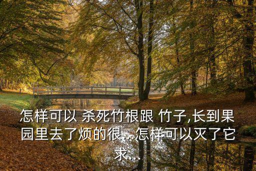 竹子有什么農藥能殺死樹,竹子用什么農藥能除掉