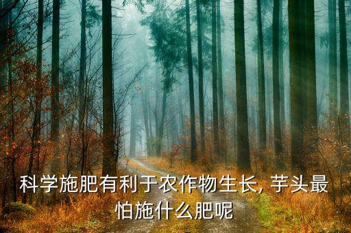 芋頭怕什么農(nóng)藥,芋頭疫病農(nóng)藥哪種比較有效