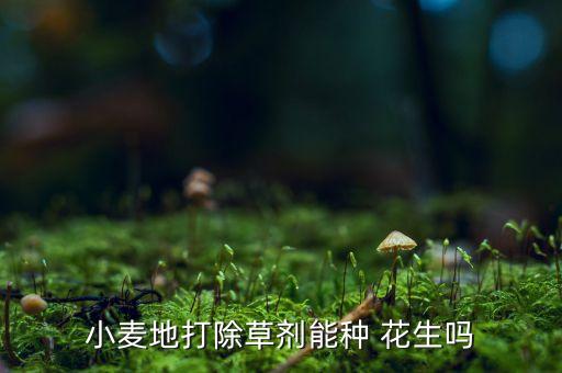 田里打什么農藥不能種花生,什么農藥不能混合打