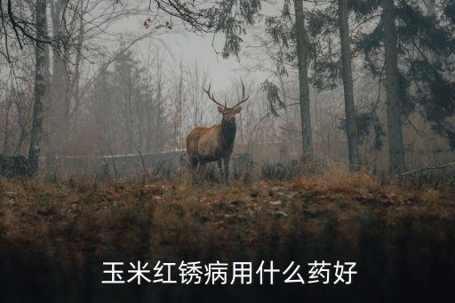  玉米紅銹病用什么藥好