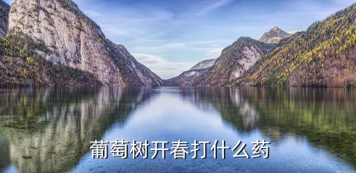  葡萄樹開春打什么藥