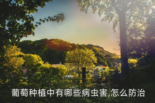 葡萄害怕什么農藥,葡萄用什么農藥最多