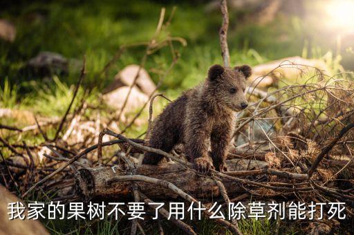 我家的果樹不要了用什么除草劑能打死