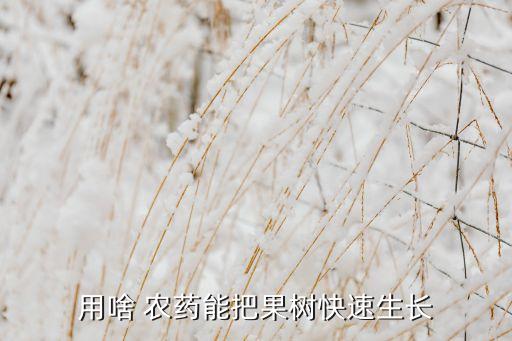 用啥 農藥能把果樹快速生長