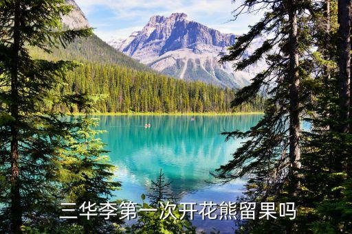  三華李第一次開(kāi)花熊留果嗎