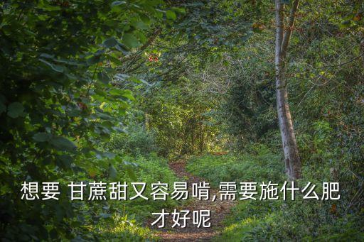 甘蔗種植須要什么農藥,種植甘蔗用什么肥和農藥