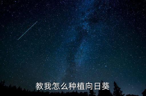 教我怎么種植向日葵