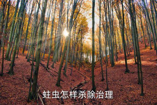 知蛀用什么農藥殺死,什么農藥能大量殺死蒼蠅