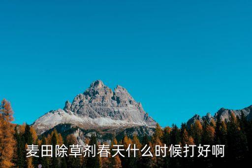 麥田除草劑春天什么時候打好啊