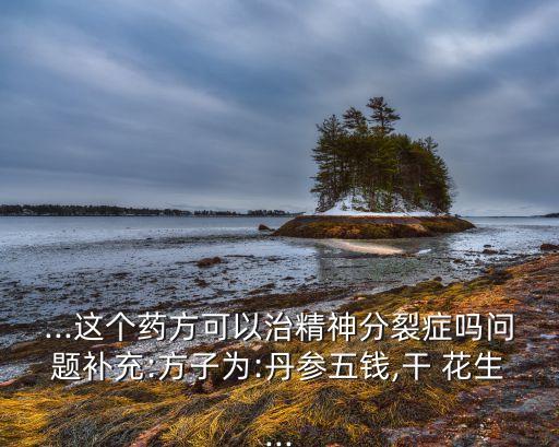 ...這個藥方可以治精神分裂癥嗎問題補充:方子為:丹參五錢,干 花生...