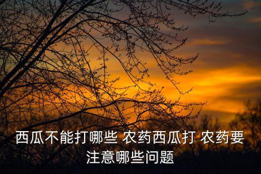 西瓜不能打哪些 農(nóng)藥西瓜打 農(nóng)藥要注意哪些問題