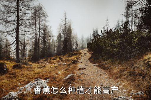  香蕉怎么種植才能高產