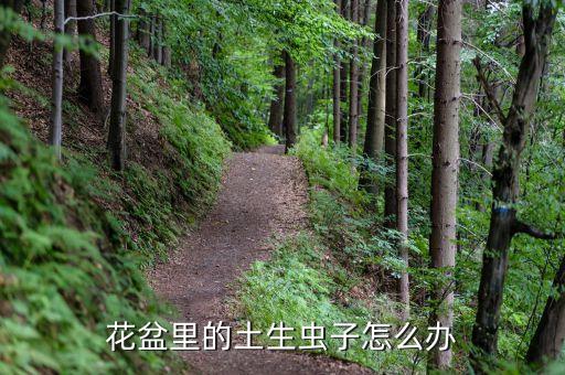 花盆里的土生蟲子怎么辦