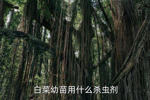  白菜幼苗用什么殺蟲劑