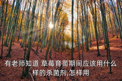 有老師知道 草莓育苗期間應該用什么樣的殺菌劑,怎樣用