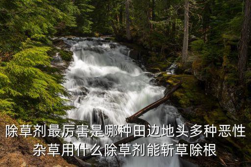 狠牛農(nóng)藥能殺什么草