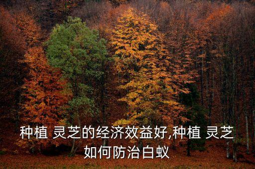 種靈芝需要噴什么農(nóng)藥,靈芝需要什么土