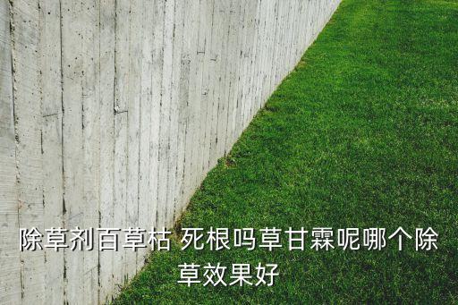 除草劑百草枯 死根嗎草甘霖呢哪個除草效果好