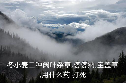 能打死草用什么農藥,什么農藥能把大蒜打死
