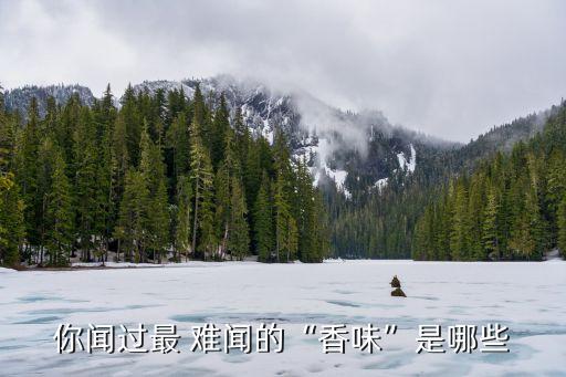 你聞過最 難聞的“香味”是哪些